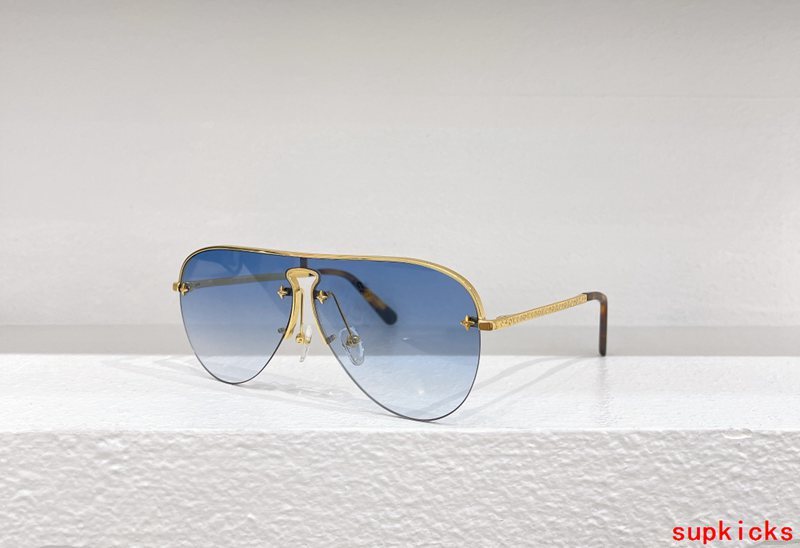Louis Vuittion Luxury Sunglasses