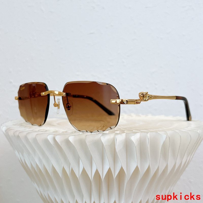 Cartier Luxury Sunglasses