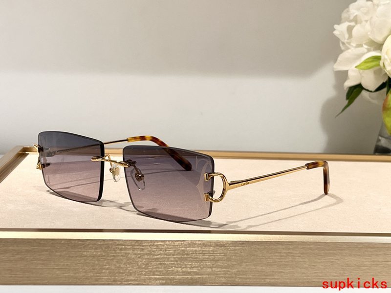 Cartier Luxury Sunglasses