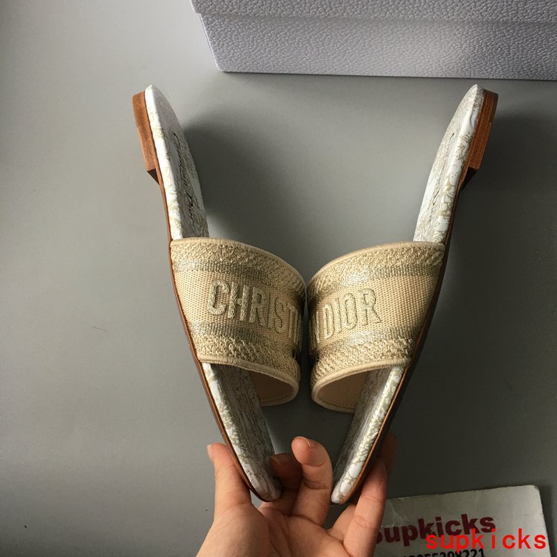 Dior Luxury Shoes