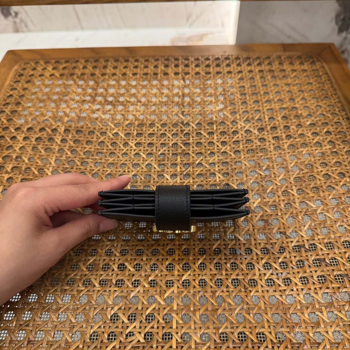 CEL ACCORDEON CARD HOLDER