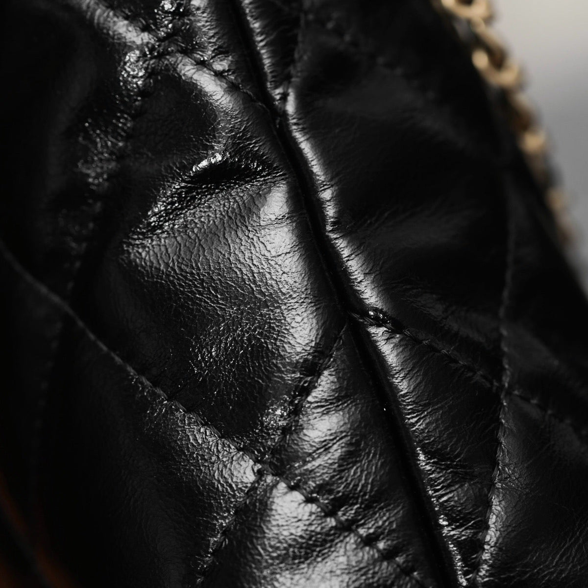 CC 25S BAG