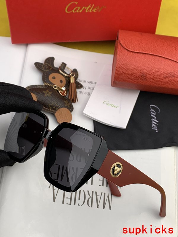Cartier Luxury Sunglasses