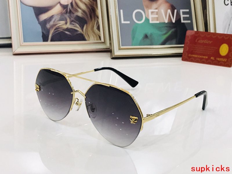Cartier Luxury Sunglasses