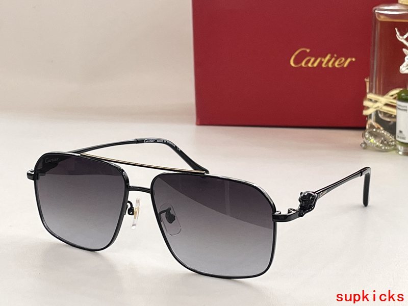 Cartier Luxury Sunglasses