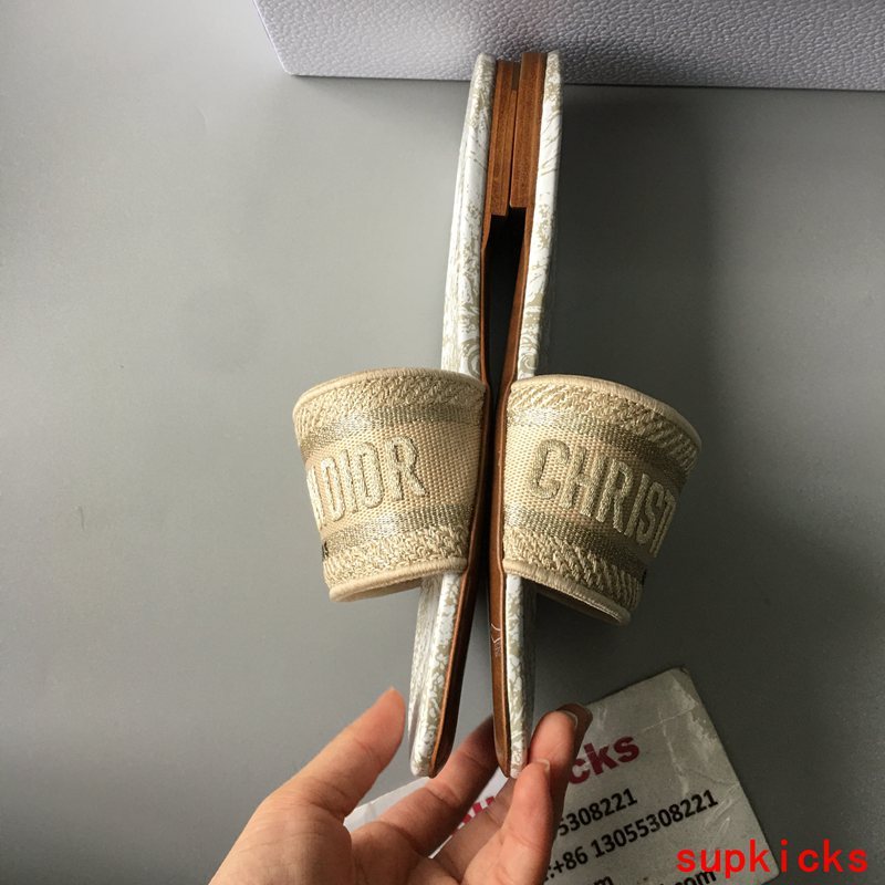 Dior Luxury Shoes