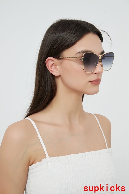 Louis Vuittion Luxury Sunglasses