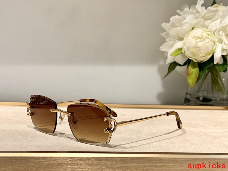 Cartier Luxury Sunglasses