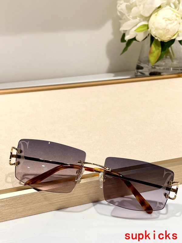 Cartier Luxury Sunglasses