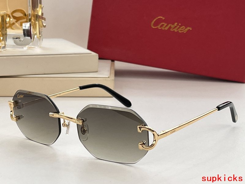 Cartier Luxury Sunglasses