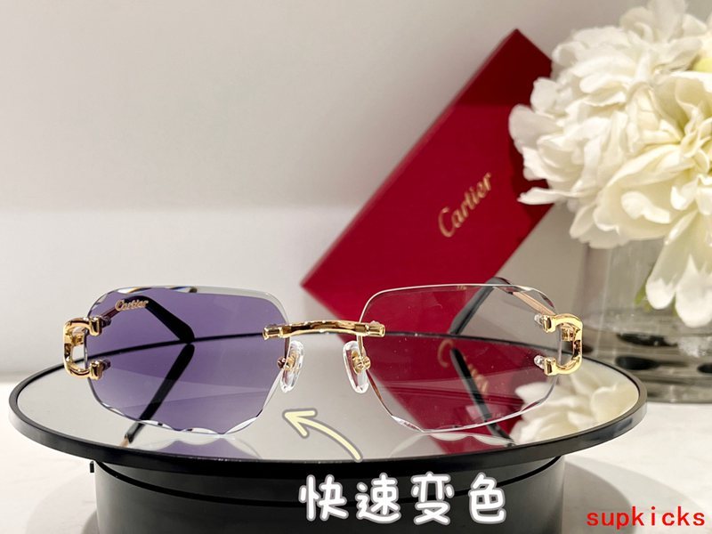 Cartier Luxury Sunglasses