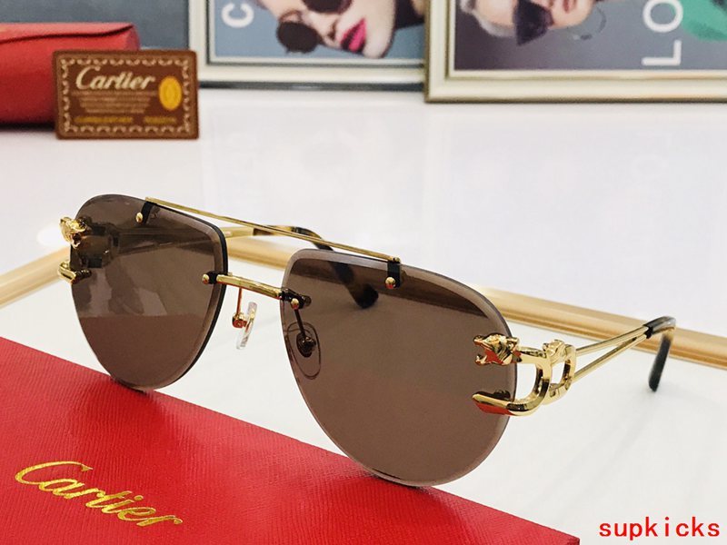 Cartier Luxury Sunglasses