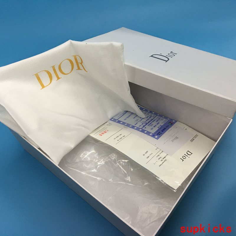 Dior Luxury Shoes