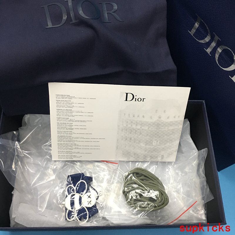 Dior Luxury Shoes