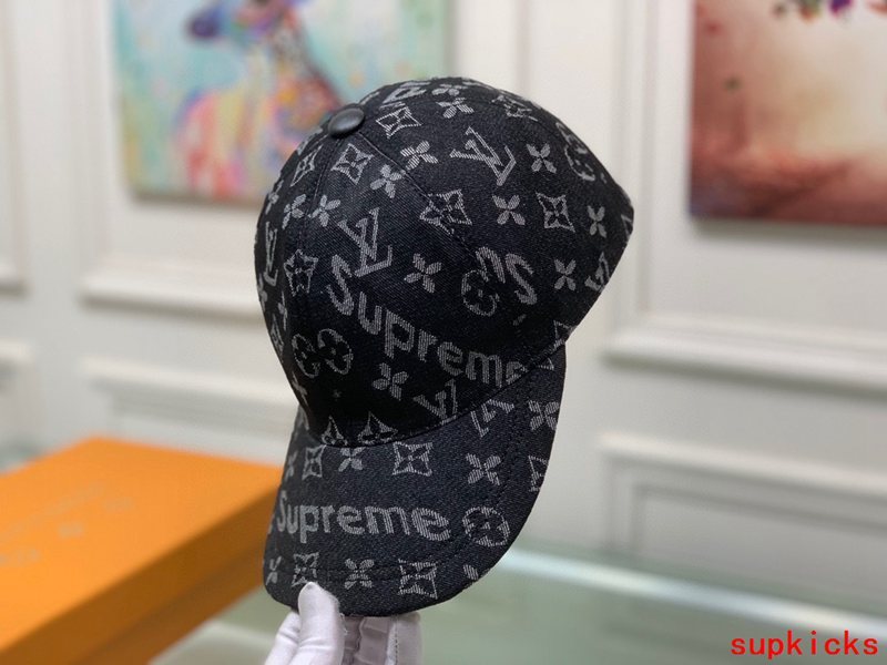Louis Vuitton Luxury Cap