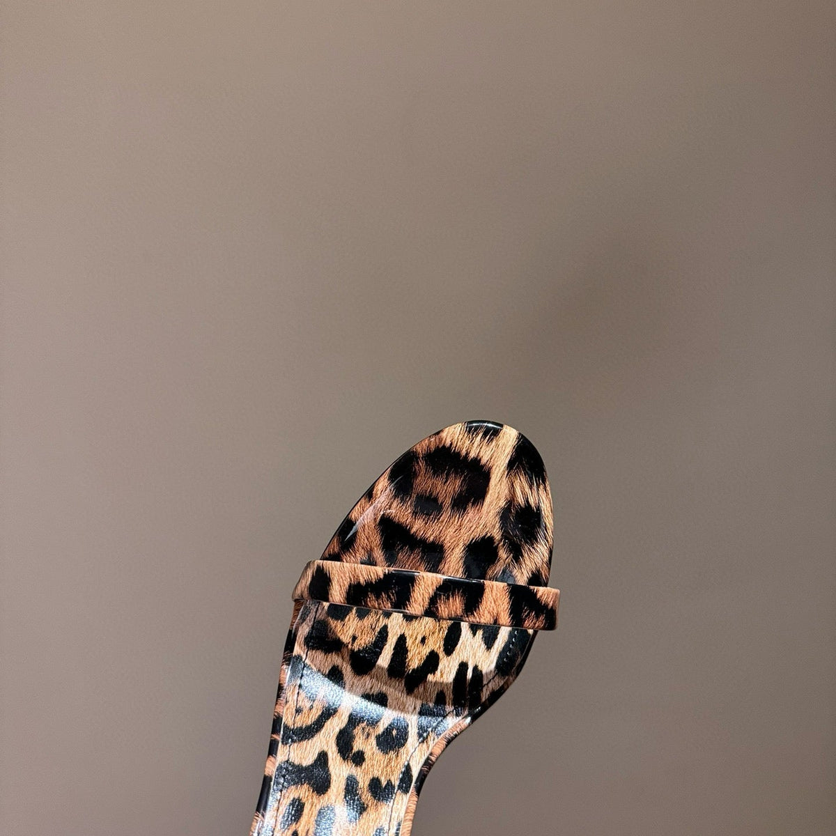 D&G HEELS