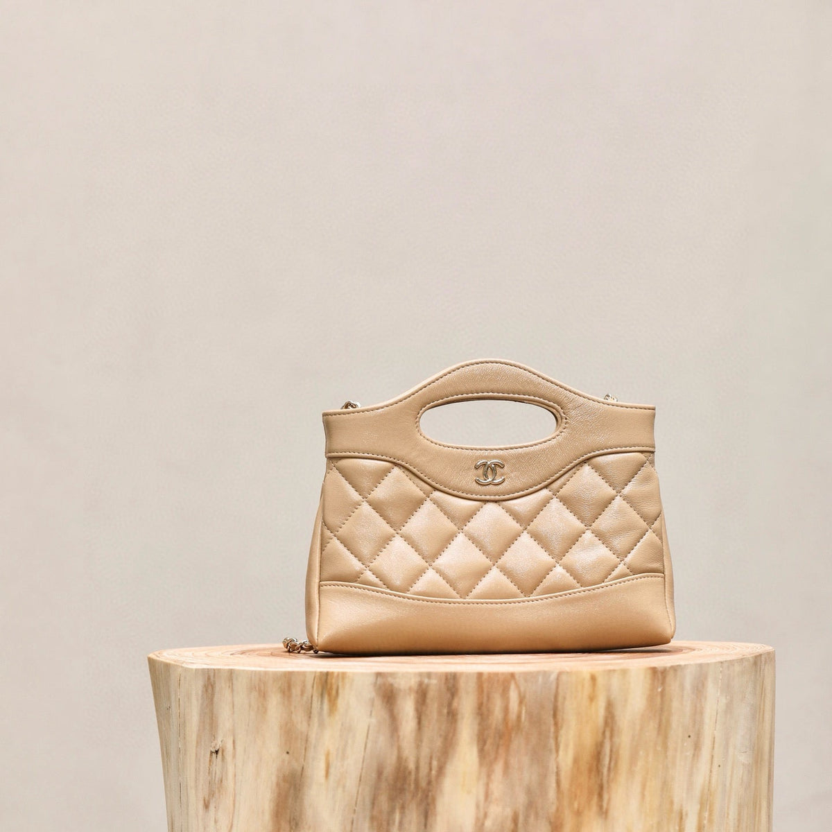 CC 31NANO BAG