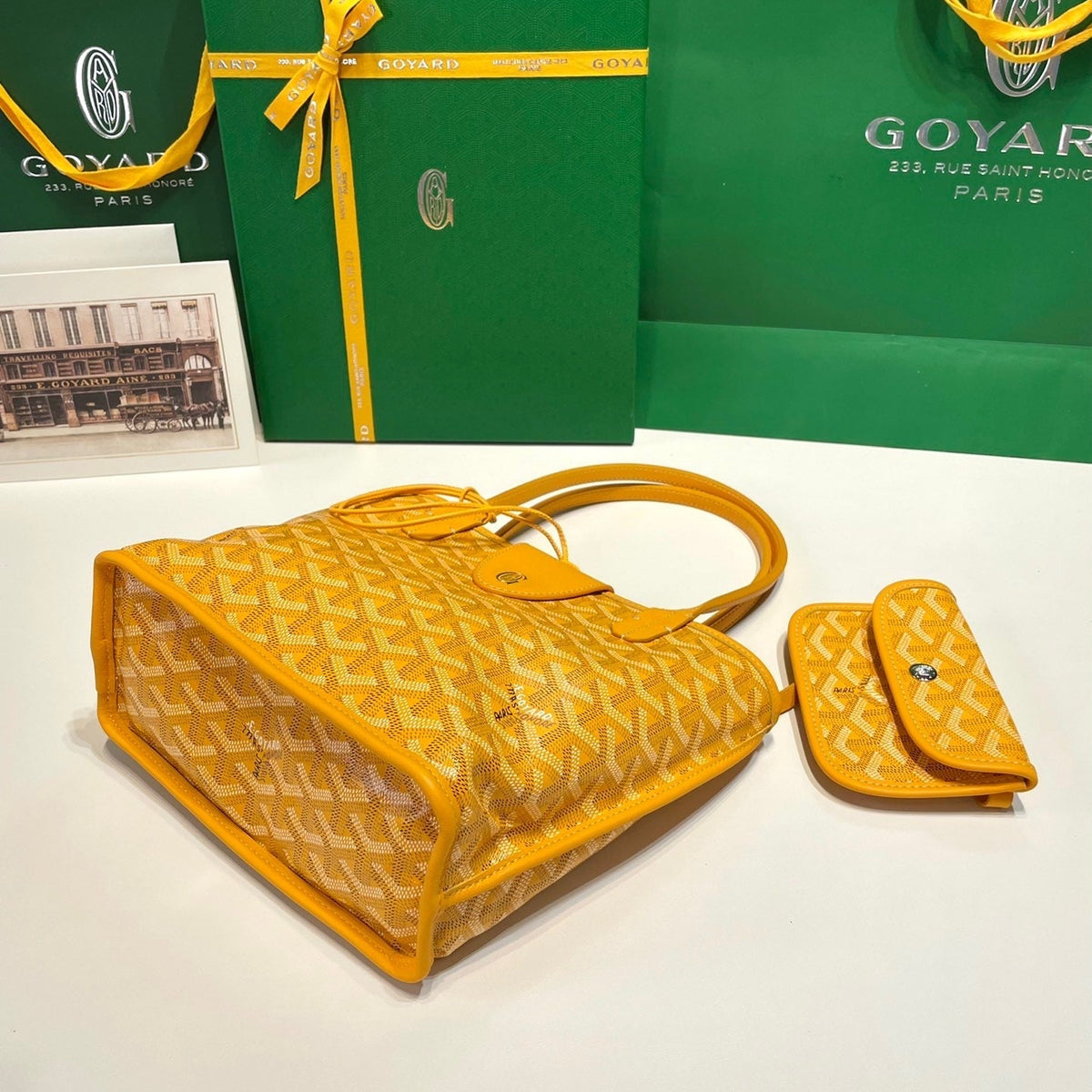 GOYA MINI ANJOU BAG
