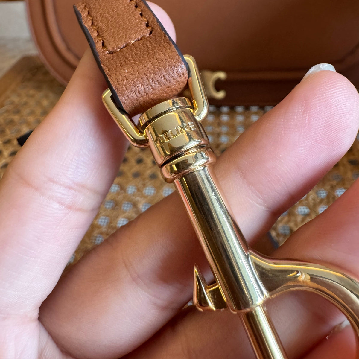 CEL TRIOMPHE BESACE BAG