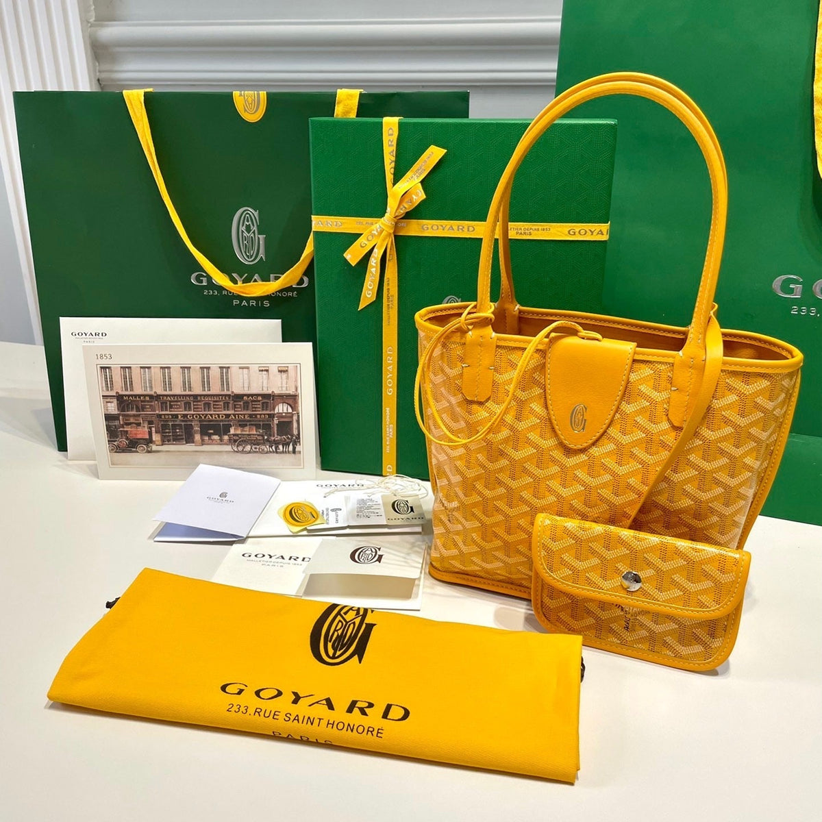 GOYA MINI ANJOU BAG