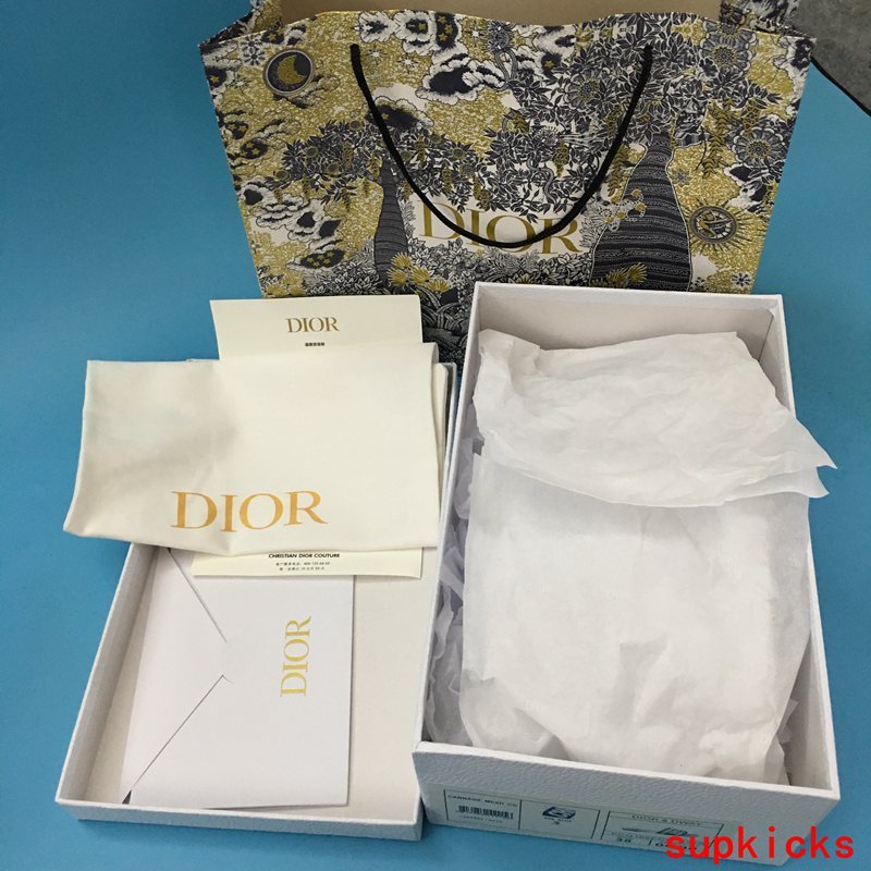 Dior Luxury Shoes