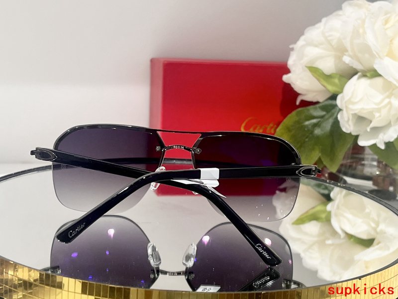 Cartier Luxury Sunglasses