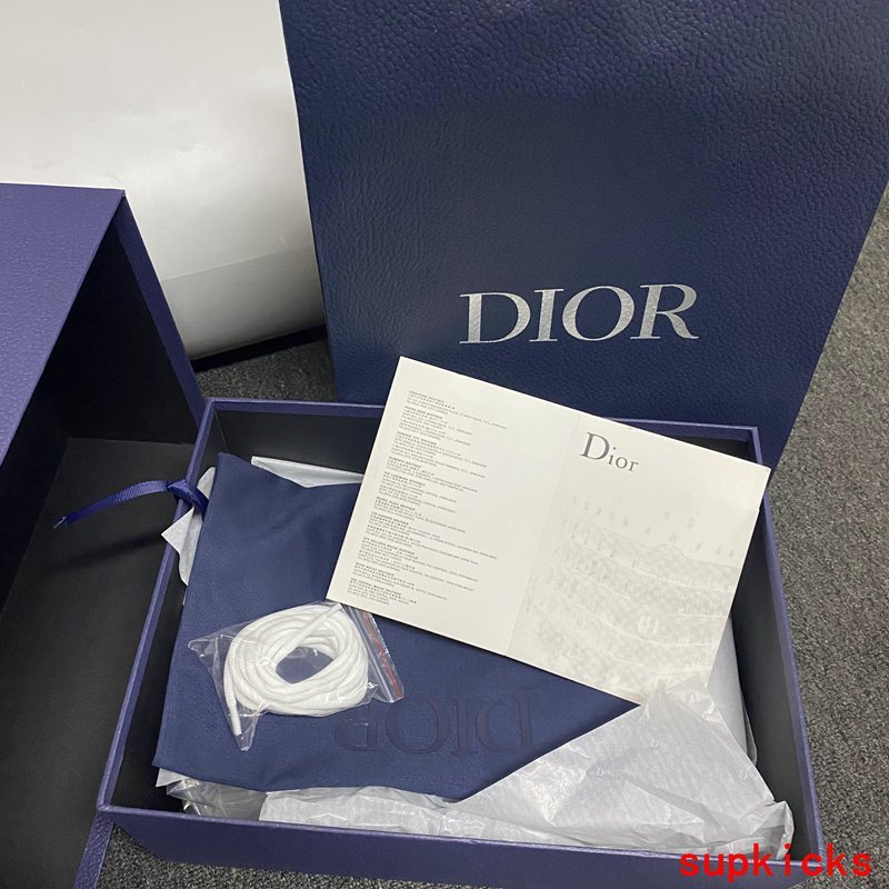 Dior Luxury Shoes