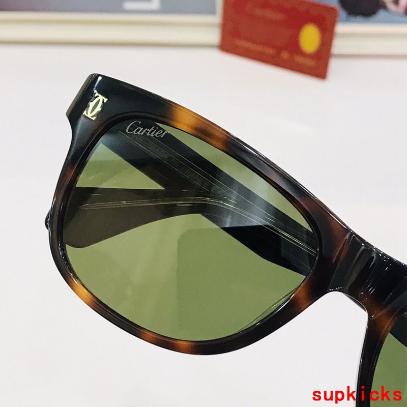 Cartier Luxury Sunglasses