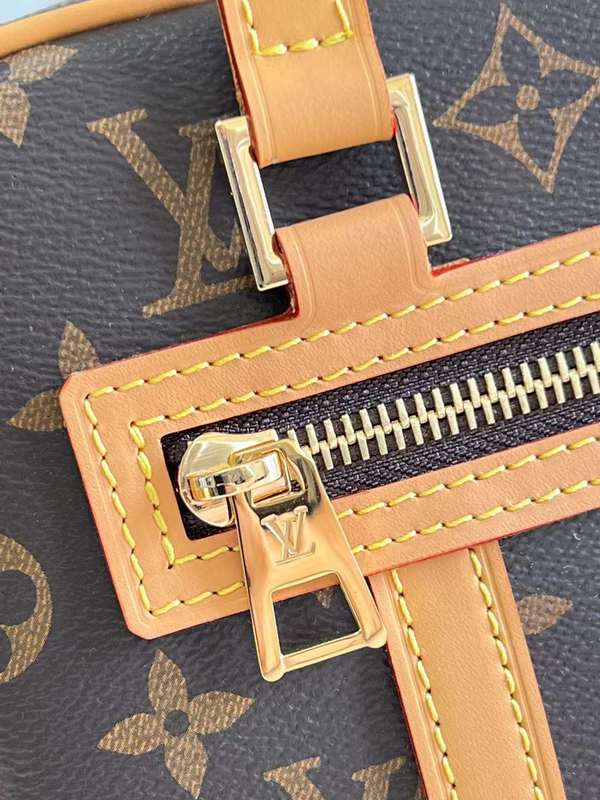 LOV2 Bags - Luxurious Bags  584