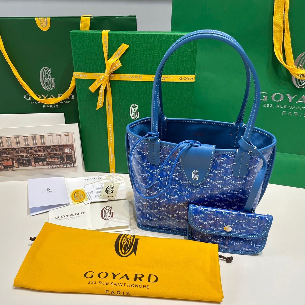 GOYA MINI ANJOU BAG