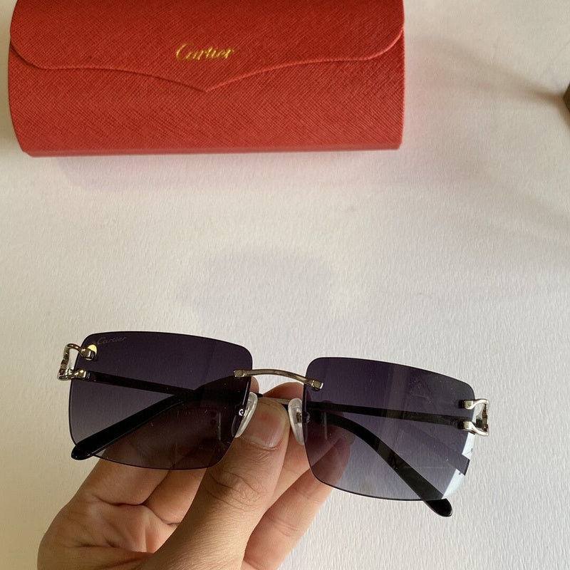 Cartier Luxury Sunglasses