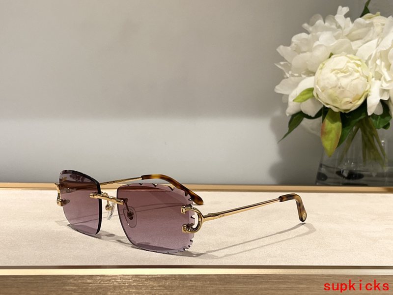 Cartier Luxury Sunglasses