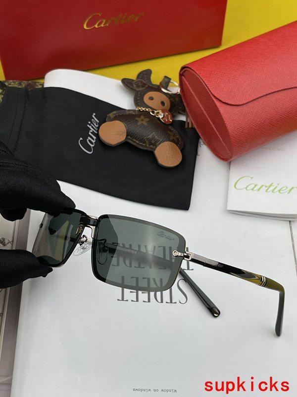 Cartier Luxury Sunglasses