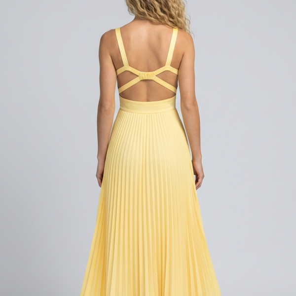 Aby | Pleated V-Neck Maxi Dress