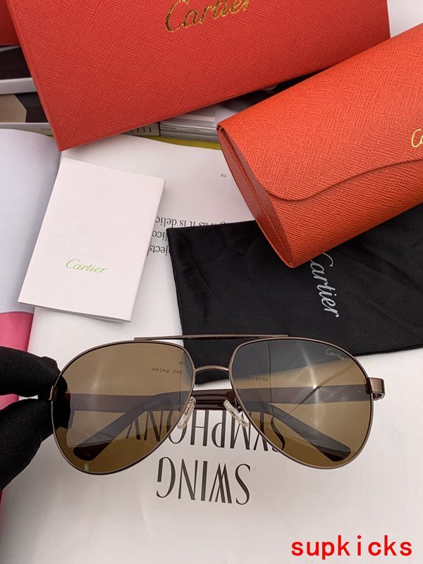 Cartier Luxury Sunglasses