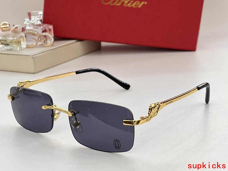 Cartier Luxury Sunglasses