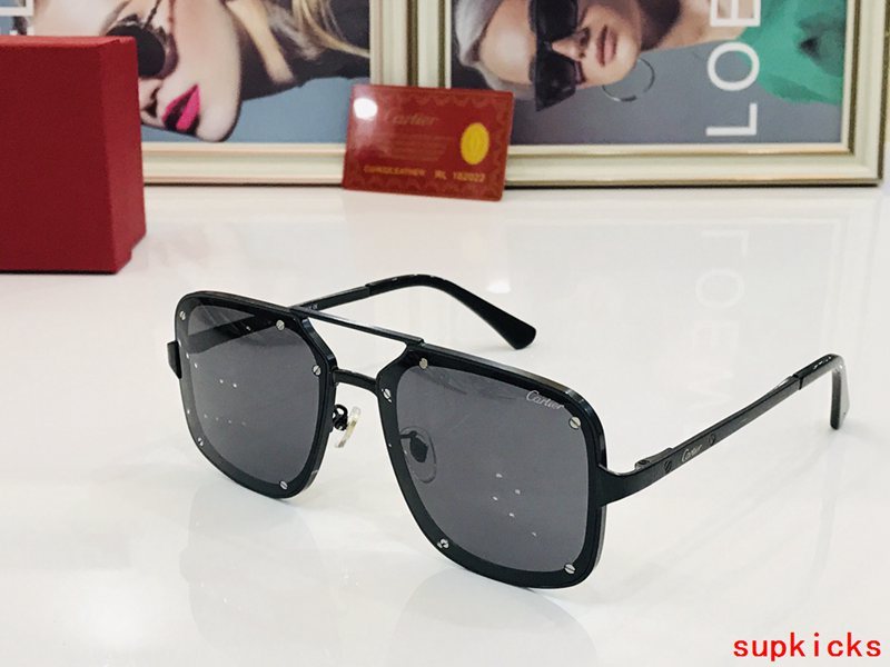 Cartier Luxury Sunglasses