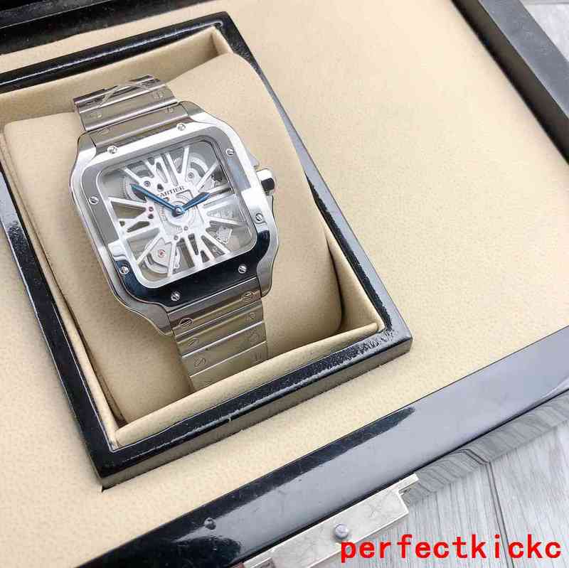 Cartier Luxury Sunglasses