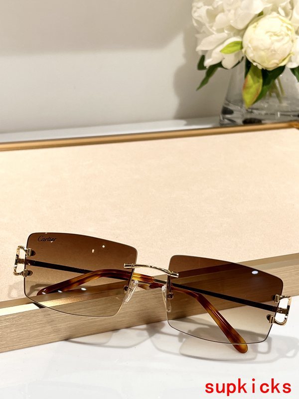 Cartier Luxury Sunglasses