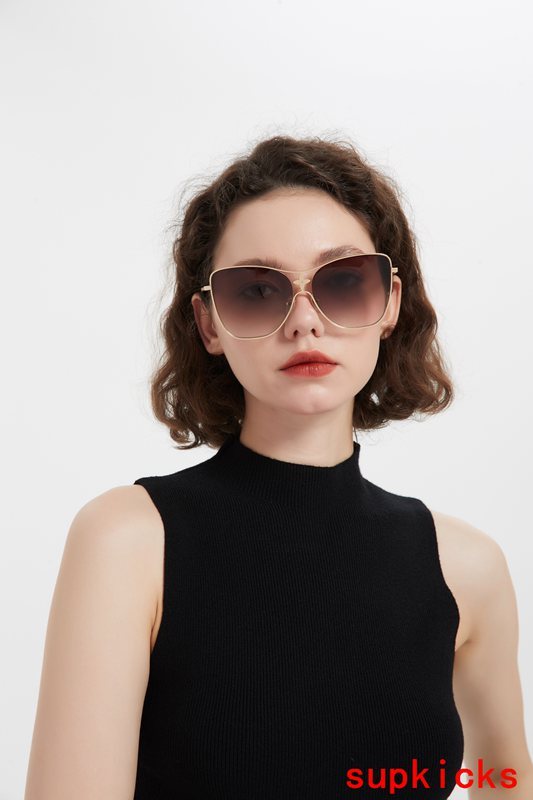 Louis Vuittion Luxury Sunglasses