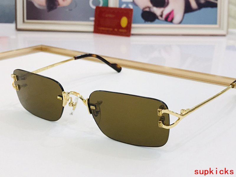 Cartier Luxury Sunglasses