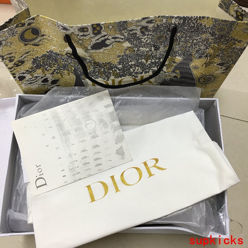 Dior Luxury Shoes