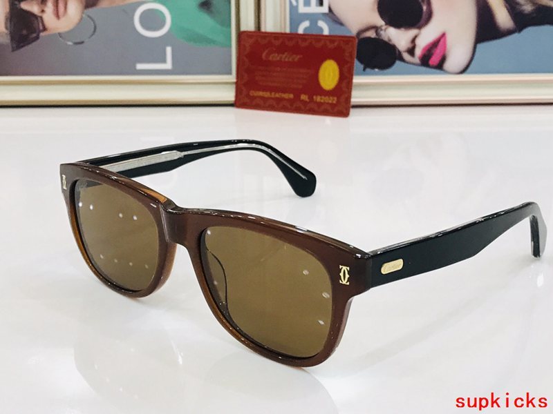 Cartier Luxury Sunglasses