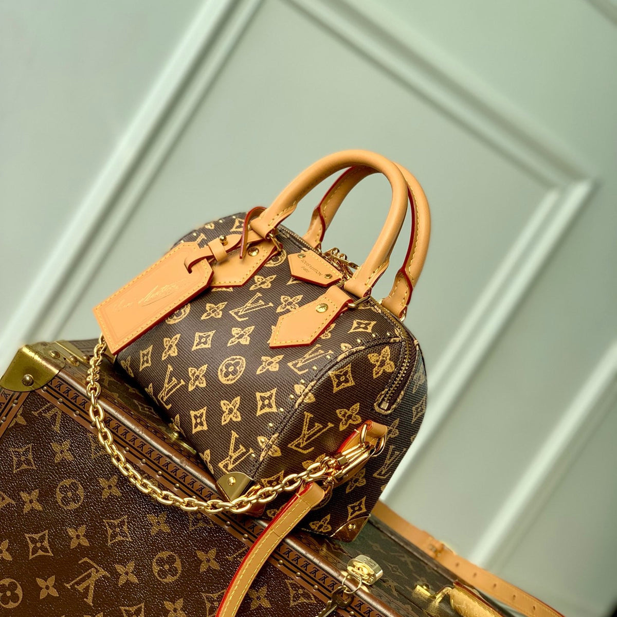 LOU SPEEDY TRUNK 20 BAG