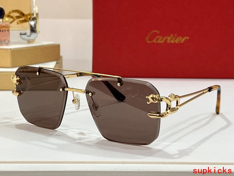 Cartier Luxury Sunglasses