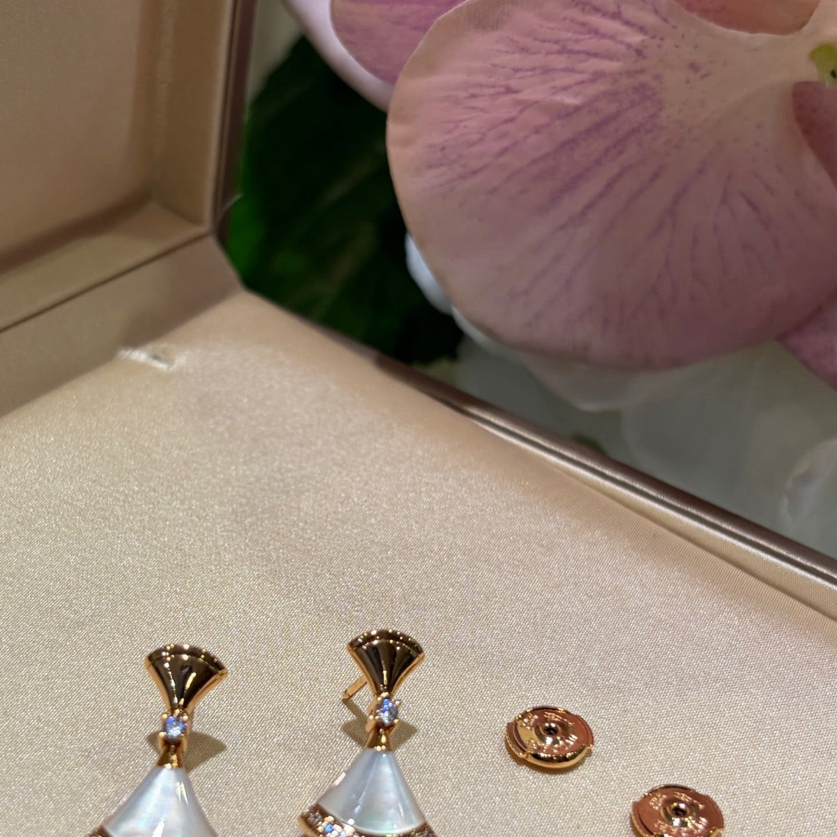 BVLG EARRINGS
