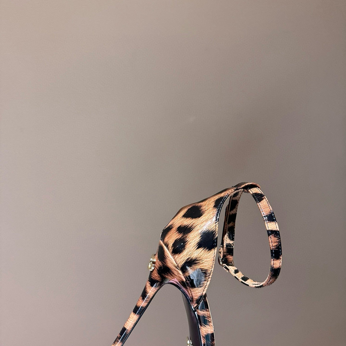 D&G HEELS