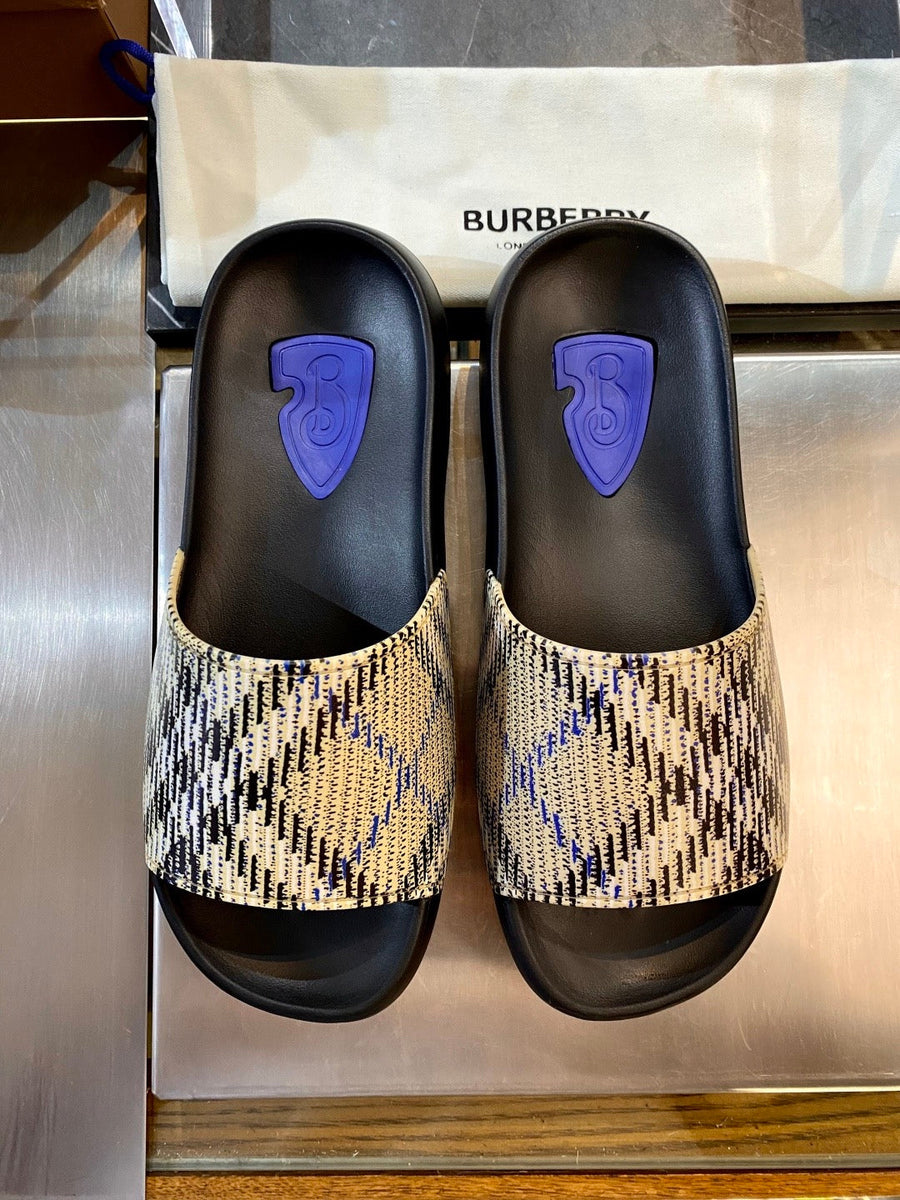 BBR SLIDES
