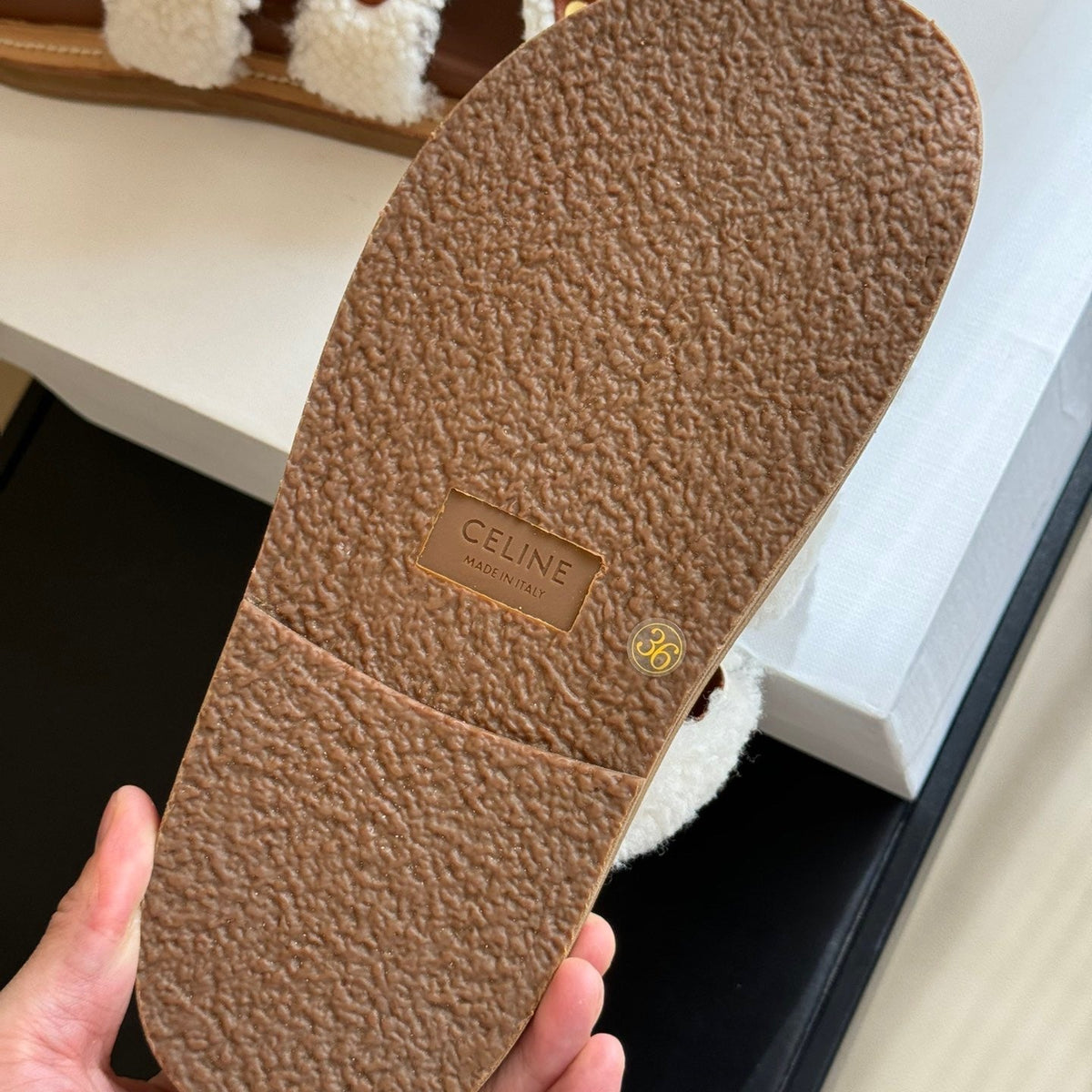 CEL SLIDES