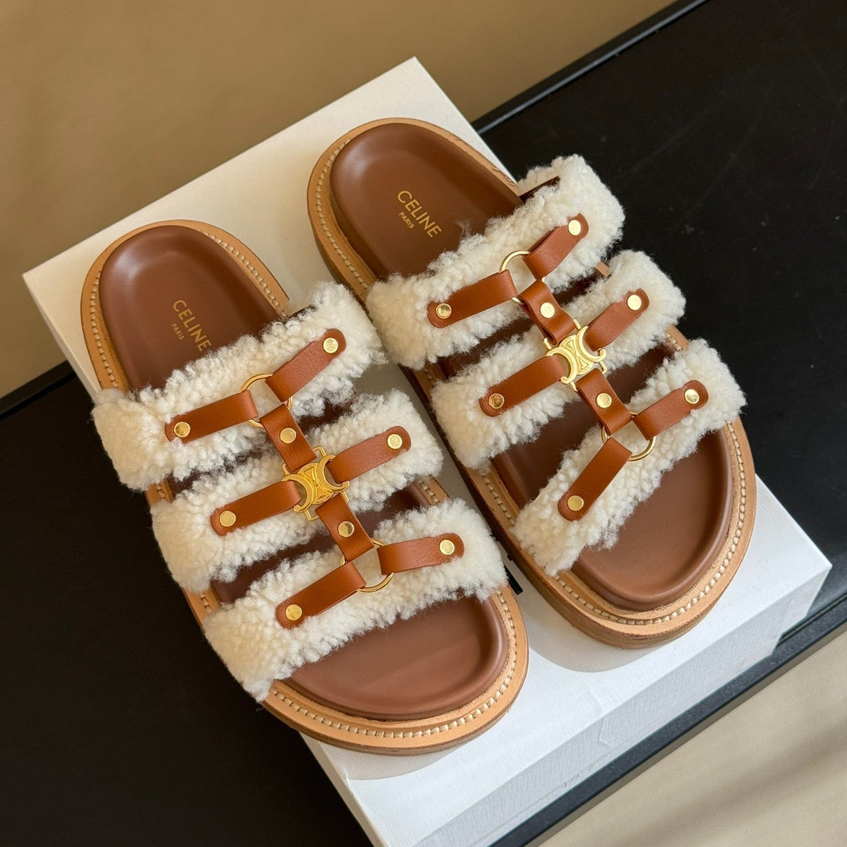 CEL SLIDES